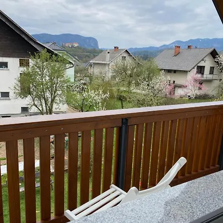 Hisa Visnar Apartament