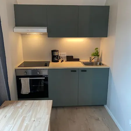 Hisa Visnar Apartment