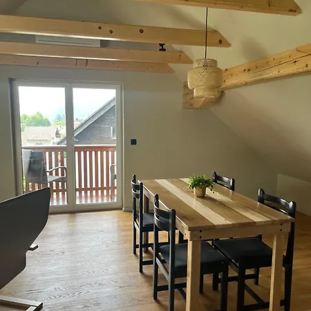 Apartmán Hisa Visnar